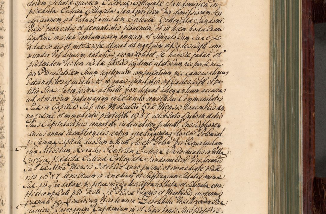 Zdjęcie nr 168 dla obiektu archiwalnego: Acta actorum episcopalium R. D. Joannis a Małachowice Małachowski, episcopi Cracoviensis a die 16 Julii anni 1688 et 1689 acticatorum. Volumen IV