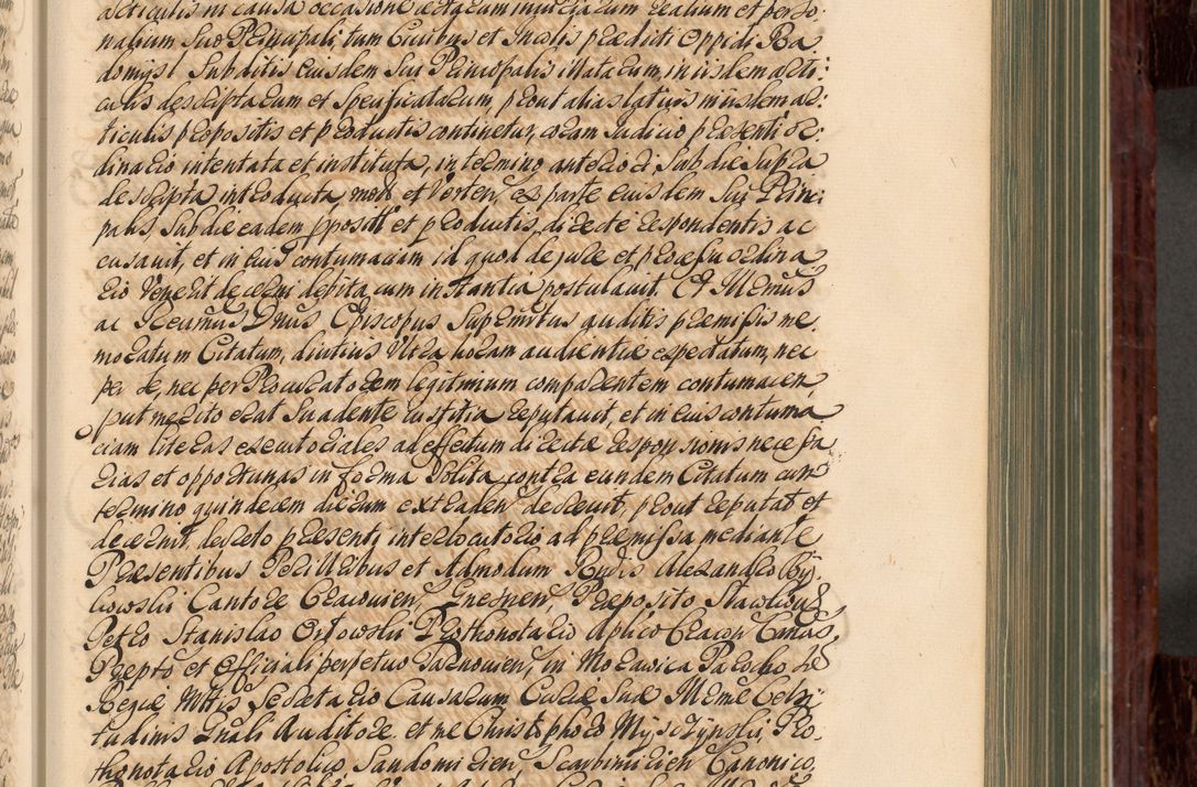 Zdjęcie nr 164 dla obiektu archiwalnego: Acta actorum episcopalium R. D. Joannis a Małachowice Małachowski, episcopi Cracoviensis a die 16 Julii anni 1688 et 1689 acticatorum. Volumen IV