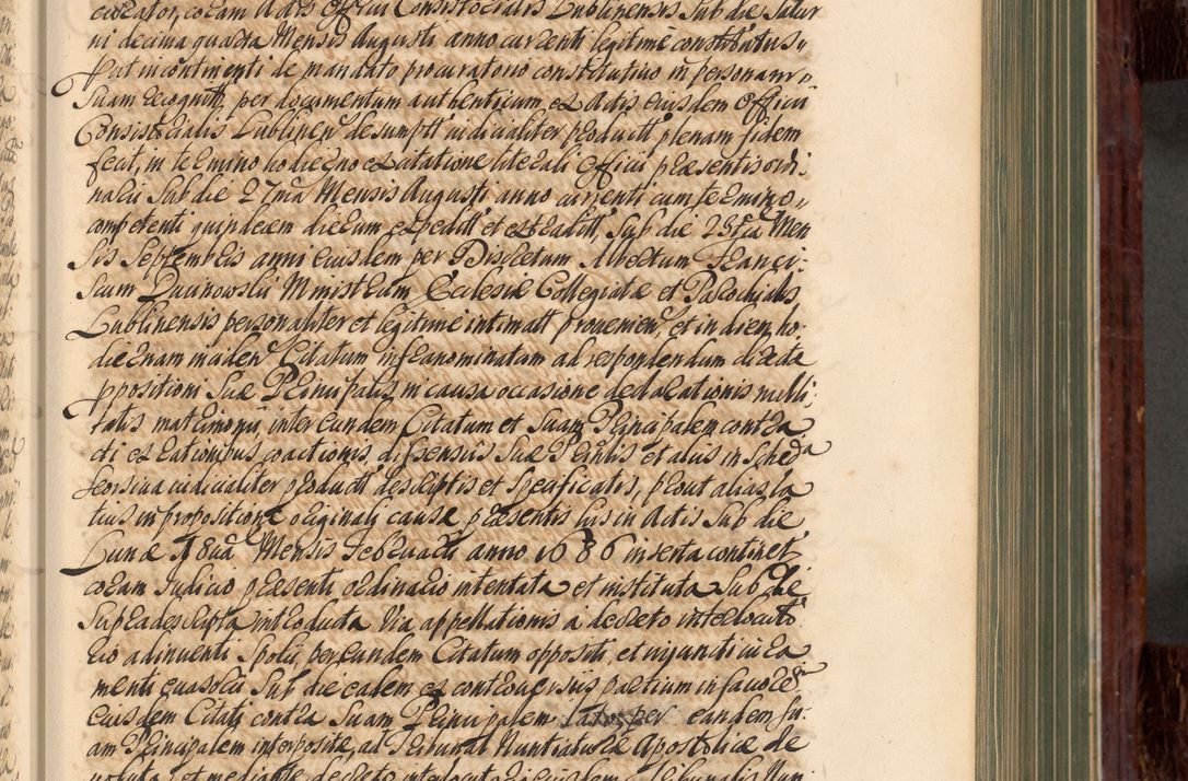 Zdjęcie nr 160 dla obiektu archiwalnego: Acta actorum episcopalium R. D. Joannis a Małachowice Małachowski, episcopi Cracoviensis a die 16 Julii anni 1688 et 1689 acticatorum. Volumen IV