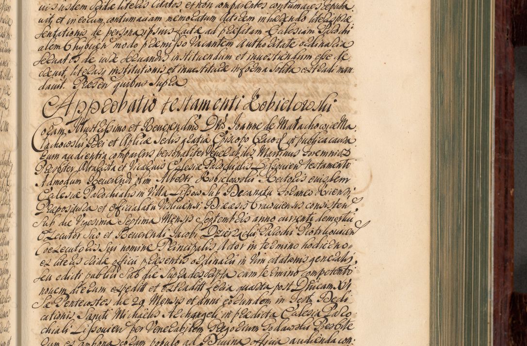 Zdjęcie nr 142 dla obiektu archiwalnego: Acta actorum episcopalium R. D. Joannis a Małachowice Małachowski, episcopi Cracoviensis a die 16 Julii anni 1688 et 1689 acticatorum. Volumen IV