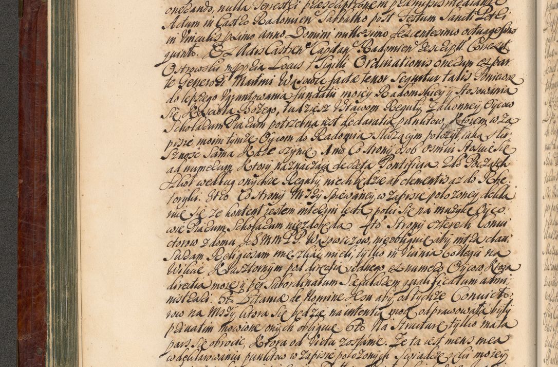Zdjęcie nr 133 dla obiektu archiwalnego: Acta actorum episcopalium R. D. Joannis a Małachowice Małachowski, episcopi Cracoviensis a die 16 Julii anni 1688 et 1689 acticatorum. Volumen IV