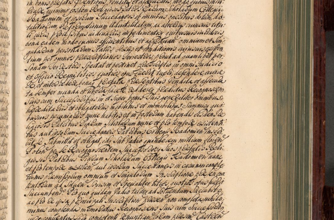 Zdjęcie nr 132 dla obiektu archiwalnego: Acta actorum episcopalium R. D. Joannis a Małachowice Małachowski, episcopi Cracoviensis a die 16 Julii anni 1688 et 1689 acticatorum. Volumen IV