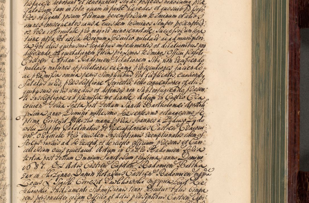 Zdjęcie nr 118 dla obiektu archiwalnego: Acta actorum episcopalium R. D. Joannis a Małachowice Małachowski, episcopi Cracoviensis a die 16 Julii anni 1688 et 1689 acticatorum. Volumen IV