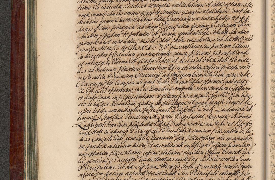 Zdjęcie nr 103 dla obiektu archiwalnego: Acta actorum episcopalium R. D. Joannis a Małachowice Małachowski, episcopi Cracoviensis a die 16 Julii anni 1688 et 1689 acticatorum. Volumen IV