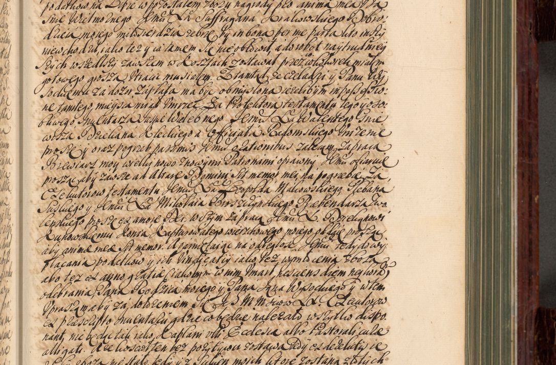 Zdjęcie nr 100 dla obiektu archiwalnego: Acta actorum episcopalium R. D. Joannis a Małachowice Małachowski, episcopi Cracoviensis a die 16 Julii anni 1688 et 1689 acticatorum. Volumen IV