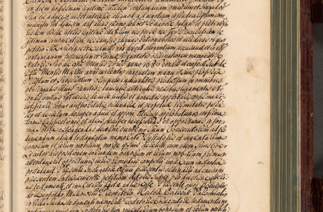 Zdjęcie nr 96 dla obiektu archiwalnego: Acta actorum episcopalium R. D. Joannis a Małachowice Małachowski, episcopi Cracoviensis a die 16 Julii anni 1688 et 1689 acticatorum. Volumen IV