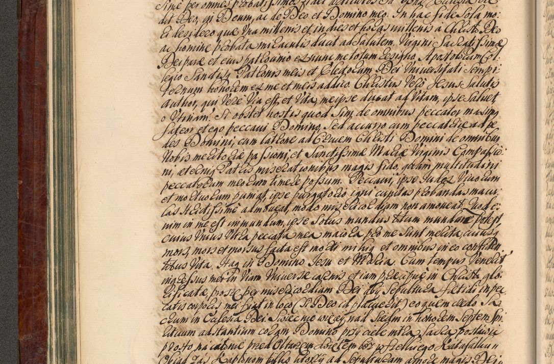 Zdjęcie nr 97 dla obiektu archiwalnego: Acta actorum episcopalium R. D. Joannis a Małachowice Małachowski, episcopi Cracoviensis a die 16 Julii anni 1688 et 1689 acticatorum. Volumen IV