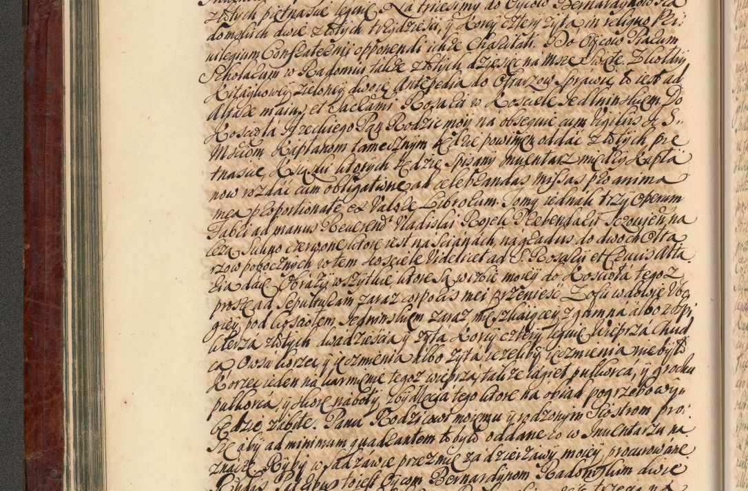 Zdjęcie nr 99 dla obiektu archiwalnego: Acta actorum episcopalium R. D. Joannis a Małachowice Małachowski, episcopi Cracoviensis a die 16 Julii anni 1688 et 1689 acticatorum. Volumen IV