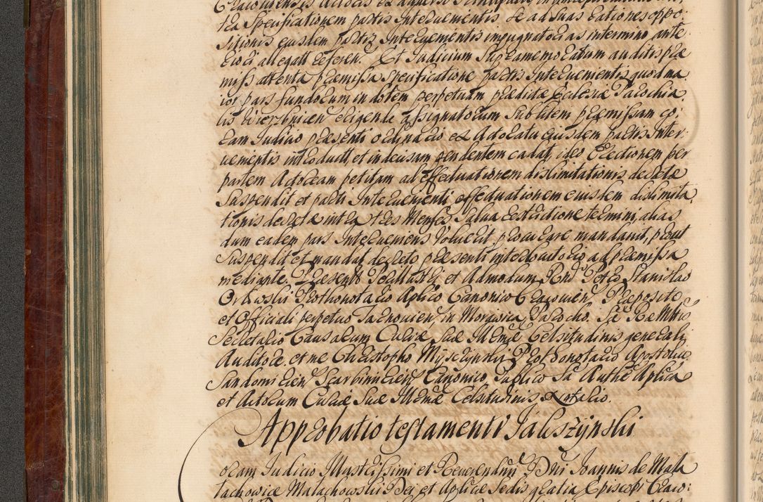 Zdjęcie nr 95 dla obiektu archiwalnego: Acta actorum episcopalium R. D. Joannis a Małachowice Małachowski, episcopi Cracoviensis a die 16 Julii anni 1688 et 1689 acticatorum. Volumen IV
