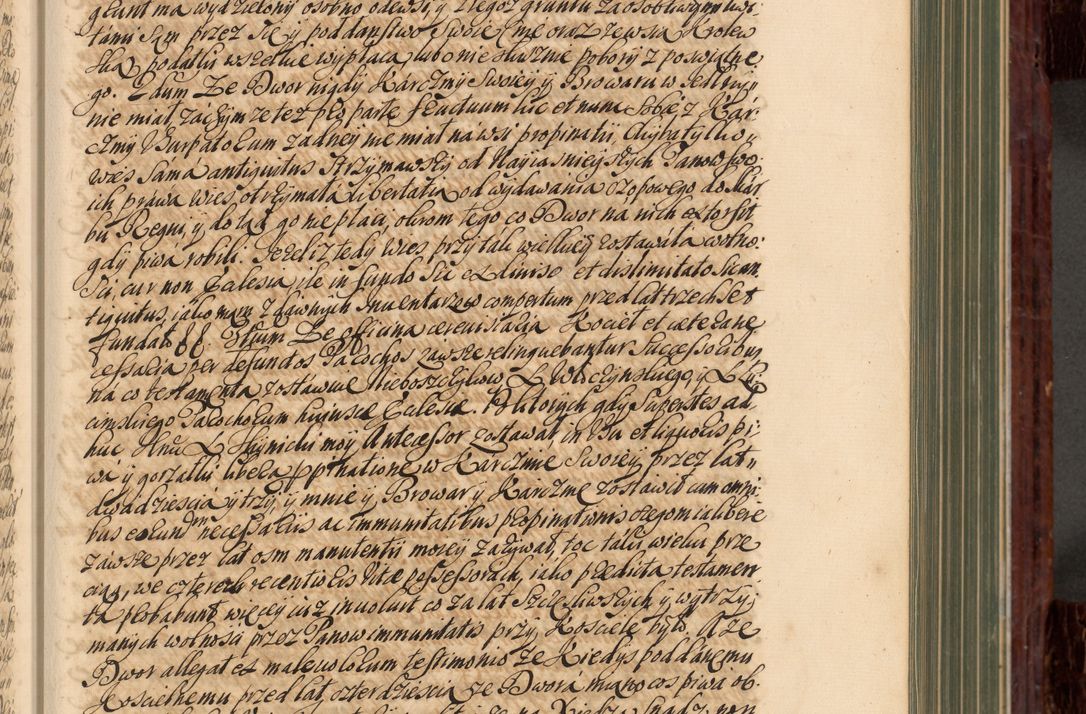 Zdjęcie nr 98 dla obiektu archiwalnego: Acta actorum episcopalium R. D. Joannis a Małachowice Małachowski, episcopi Cracoviensis a die 16 Julii anni 1688 et 1689 acticatorum. Volumen IV