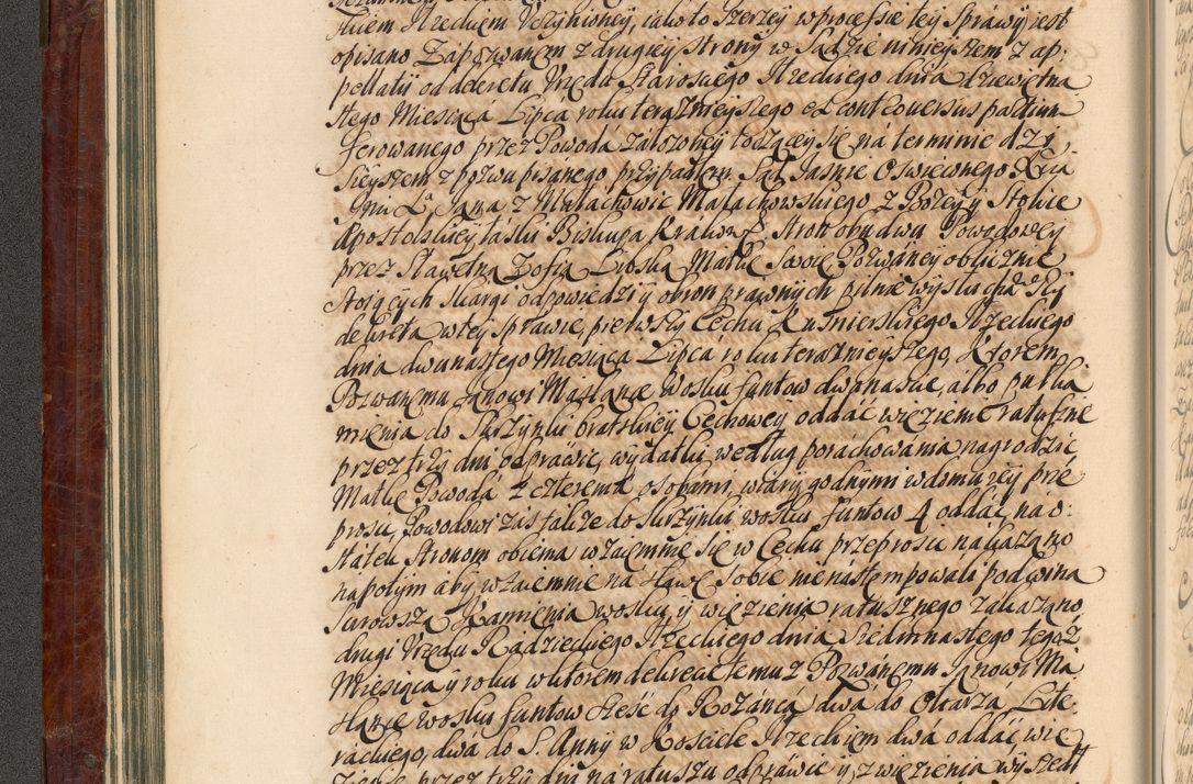 Zdjęcie nr 87 dla obiektu archiwalnego: Acta actorum episcopalium R. D. Joannis a Małachowice Małachowski, episcopi Cracoviensis a die 16 Julii anni 1688 et 1689 acticatorum. Volumen IV