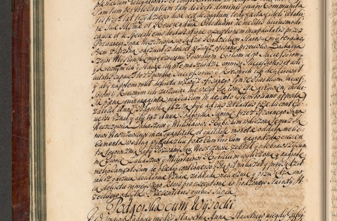 Zdjęcie nr 85 dla obiektu archiwalnego: Acta actorum episcopalium R. D. Joannis a Małachowice Małachowski, episcopi Cracoviensis a die 16 Julii anni 1688 et 1689 acticatorum. Volumen IV