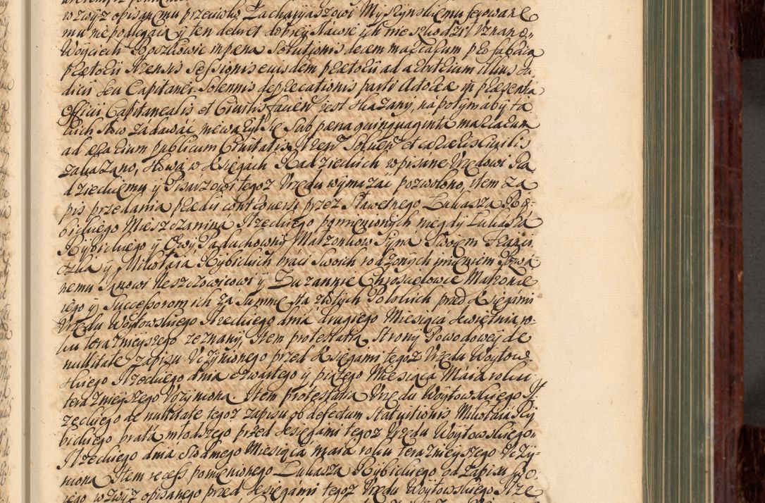 Zdjęcie nr 84 dla obiektu archiwalnego: Acta actorum episcopalium R. D. Joannis a Małachowice Małachowski, episcopi Cracoviensis a die 16 Julii anni 1688 et 1689 acticatorum. Volumen IV