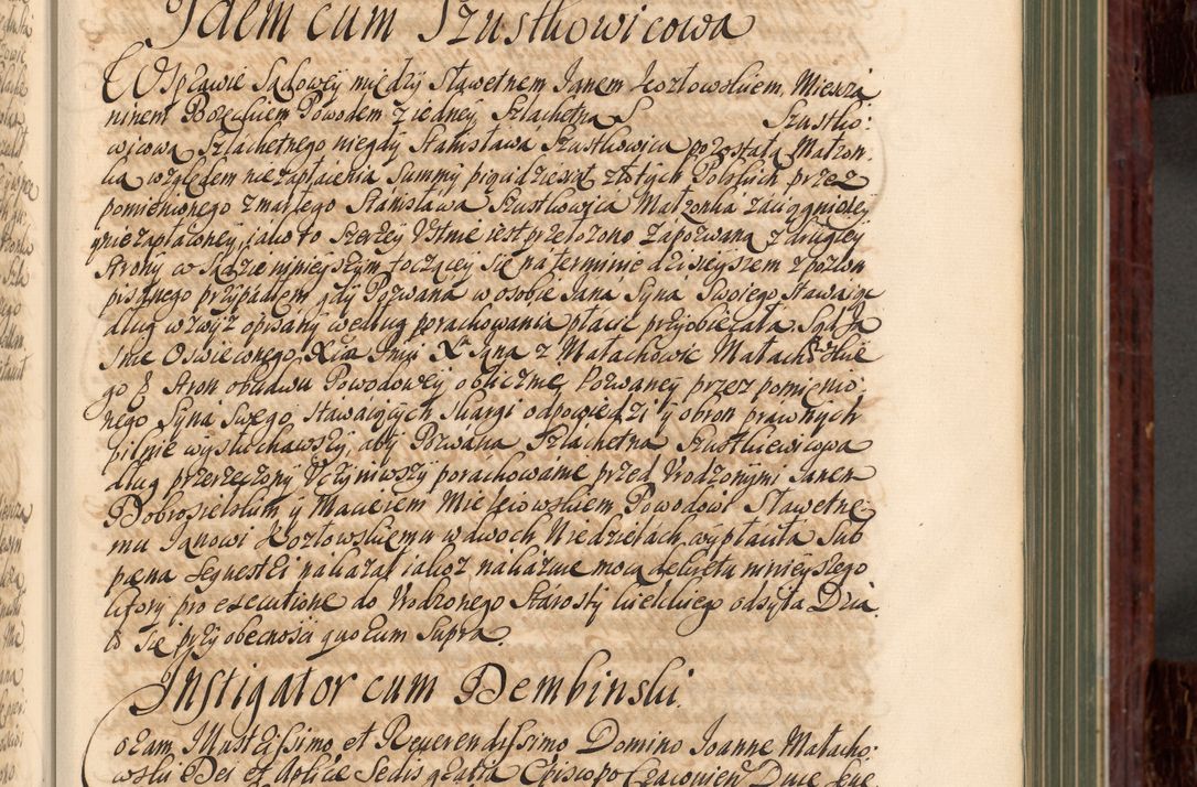 Zdjęcie nr 20 dla obiektu archiwalnego: Acta actorum episcopalium R. D. Joannis a Małachowice Małachowski, episcopi Cracoviensis a die 16 Julii anni 1688 et 1689 acticatorum. Volumen IV
