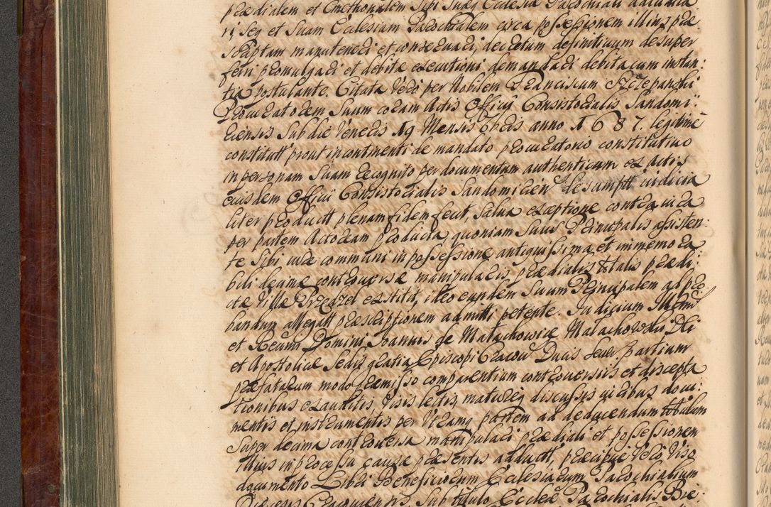 Zdjęcie nr 209 dla obiektu archiwalnego: Acta actorum episcopalium R. D. Joannis a Małachowice Małachowski, episcopi Cracoviensis a die 16 Julii anni 1688 et 1689 acticatorum. Volumen IV