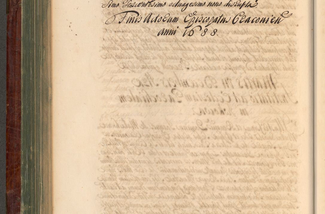 Zdjęcie nr 397 dla obiektu archiwalnego: Acta actorum episcopalium R. D. Joannis a Małachowice Małachowski, episcopi Cracoviensis a die 16 Julii anni 1688 et 1689 acticatorum. Volumen IV