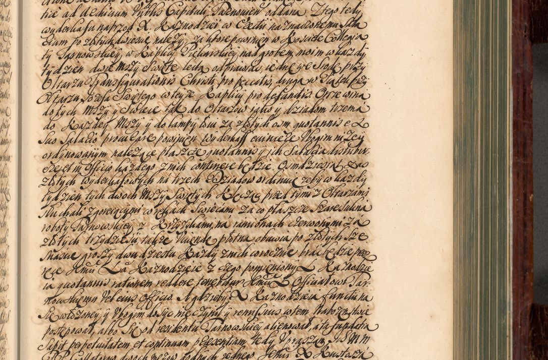 Zdjęcie nr 354 dla obiektu archiwalnego: Acta actorum episcopalium R. D. Joannis a Małachowice Małachowski, episcopi Cracoviensis a die 16 Julii anni 1688 et 1689 acticatorum. Volumen IV