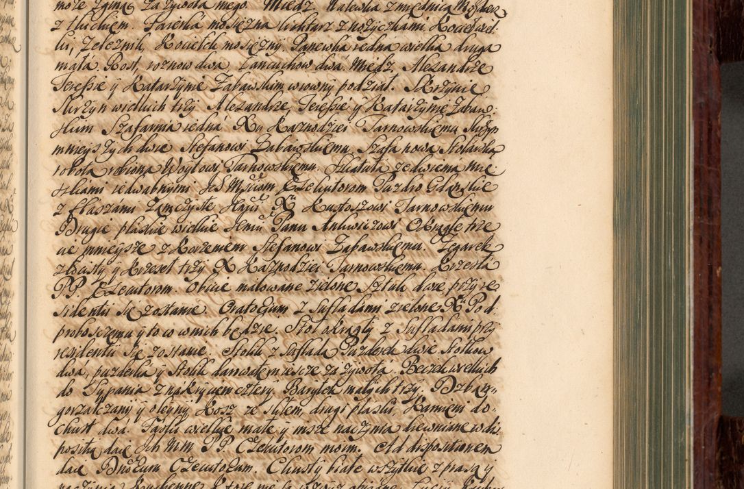 Zdjęcie nr 360 dla obiektu archiwalnego: Acta actorum episcopalium R. D. Joannis a Małachowice Małachowski, episcopi Cracoviensis a die 16 Julii anni 1688 et 1689 acticatorum. Volumen IV