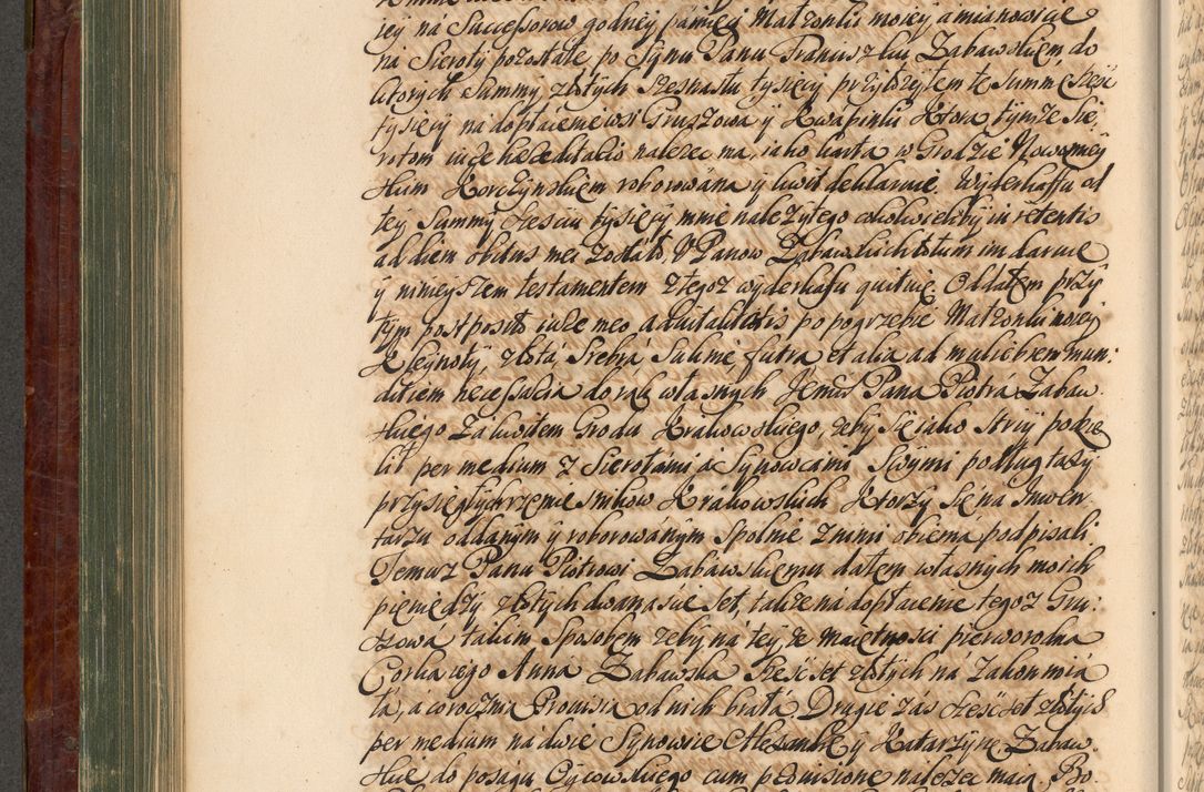 Zdjęcie nr 353 dla obiektu archiwalnego: Acta actorum episcopalium R. D. Joannis a Małachowice Małachowski, episcopi Cracoviensis a die 16 Julii anni 1688 et 1689 acticatorum. Volumen IV