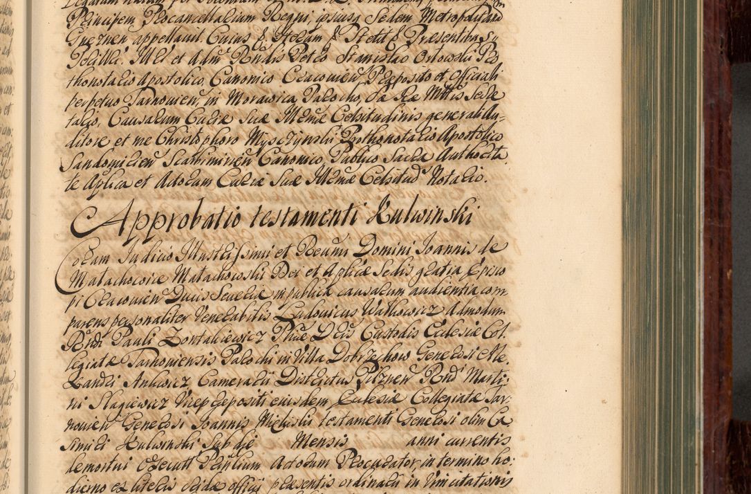 Zdjęcie nr 350 dla obiektu archiwalnego: Acta actorum episcopalium R. D. Joannis a Małachowice Małachowski, episcopi Cracoviensis a die 16 Julii anni 1688 et 1689 acticatorum. Volumen IV