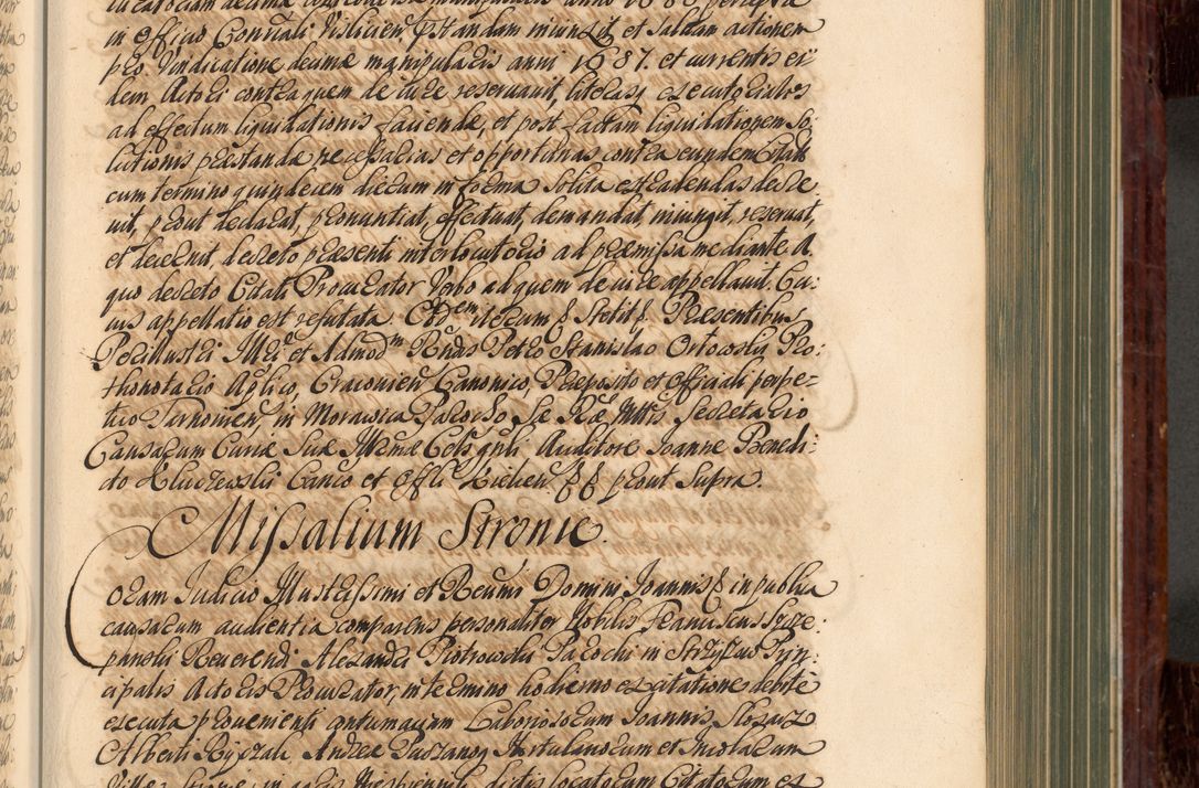 Zdjęcie nr 314 dla obiektu archiwalnego: Acta actorum episcopalium R. D. Joannis a Małachowice Małachowski, episcopi Cracoviensis a die 16 Julii anni 1688 et 1689 acticatorum. Volumen IV