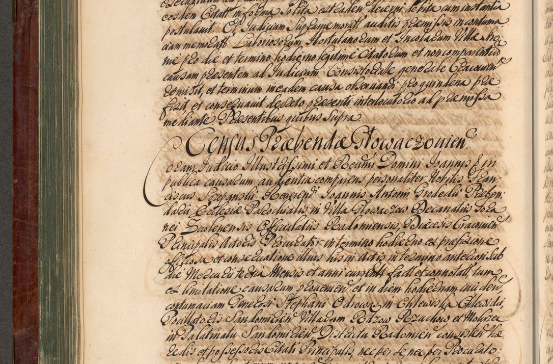 Zdjęcie nr 315 dla obiektu archiwalnego: Acta actorum episcopalium R. D. Joannis a Małachowice Małachowski, episcopi Cracoviensis a die 16 Julii anni 1688 et 1689 acticatorum. Volumen IV