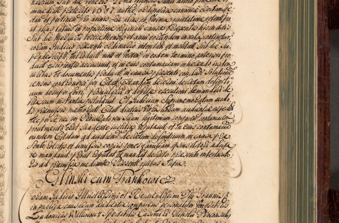 Zdjęcie nr 316 dla obiektu archiwalnego: Acta actorum episcopalium R. D. Joannis a Małachowice Małachowski, episcopi Cracoviensis a die 16 Julii anni 1688 et 1689 acticatorum. Volumen IV