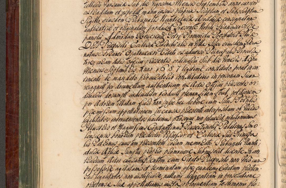 Zdjęcie nr 313 dla obiektu archiwalnego: Acta actorum episcopalium R. D. Joannis a Małachowice Małachowski, episcopi Cracoviensis a die 16 Julii anni 1688 et 1689 acticatorum. Volumen IV