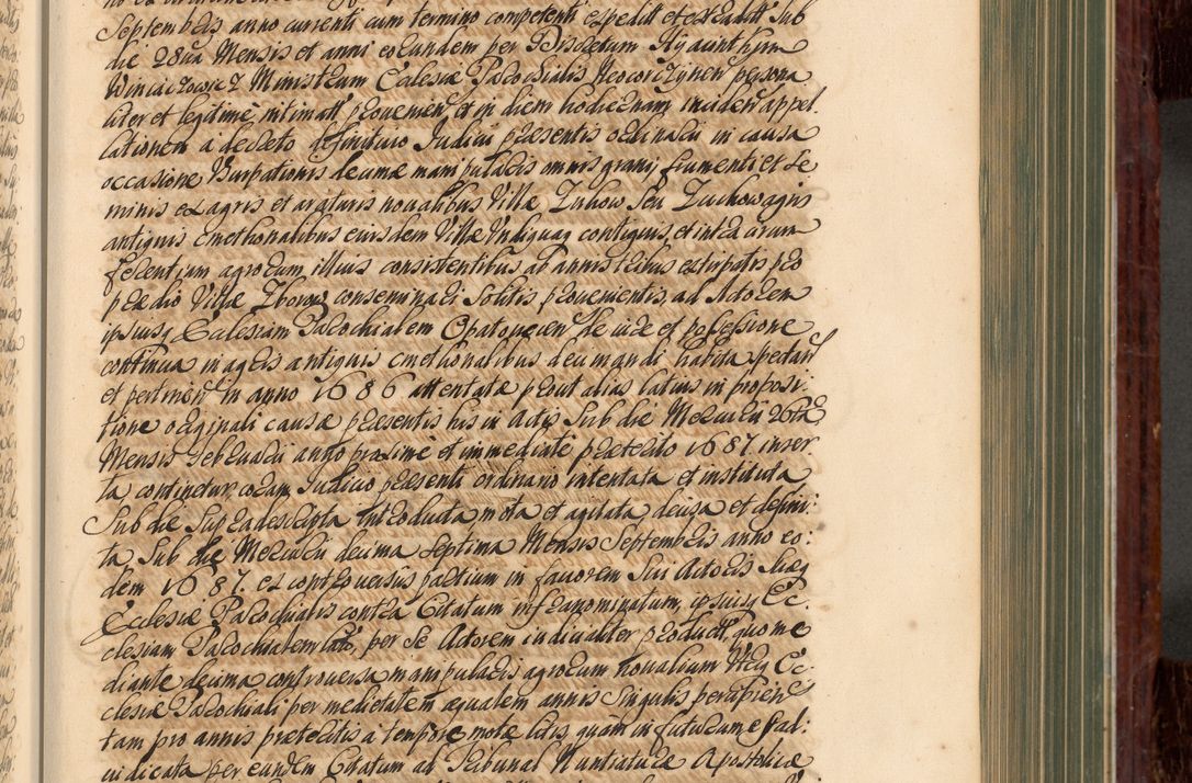 Zdjęcie nr 312 dla obiektu archiwalnego: Acta actorum episcopalium R. D. Joannis a Małachowice Małachowski, episcopi Cracoviensis a die 16 Julii anni 1688 et 1689 acticatorum. Volumen IV