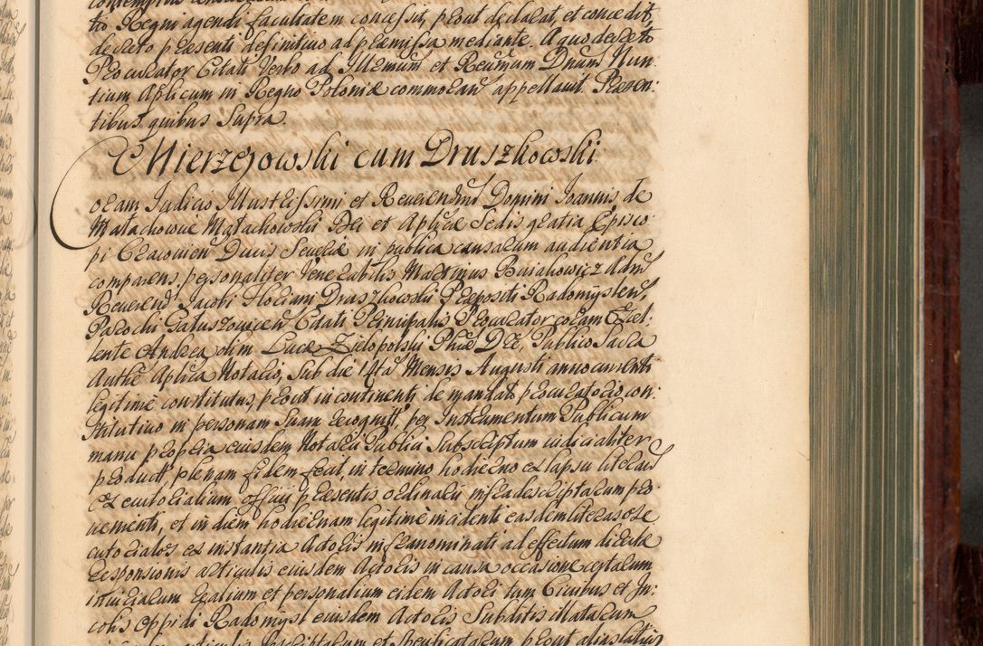 Zdjęcie nr 296 dla obiektu archiwalnego: Acta actorum episcopalium R. D. Joannis a Małachowice Małachowski, episcopi Cracoviensis a die 16 Julii anni 1688 et 1689 acticatorum. Volumen IV