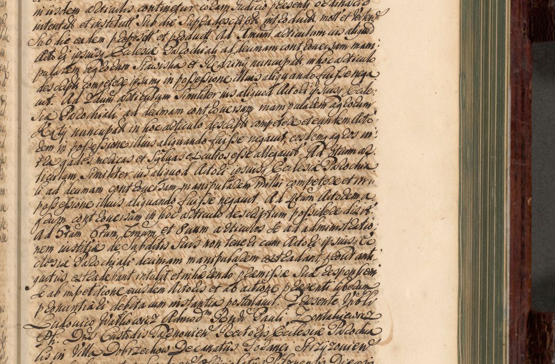 Zdjęcie nr 266 dla obiektu archiwalnego: Acta actorum episcopalium R. D. Joannis a Małachowice Małachowski, episcopi Cracoviensis a die 16 Julii anni 1688 et 1689 acticatorum. Volumen IV