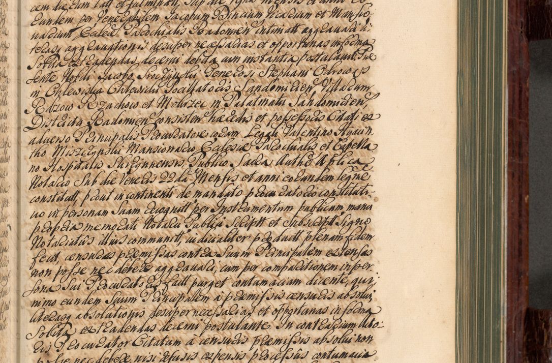 Zdjęcie nr 262 dla obiektu archiwalnego: Acta actorum episcopalium R. D. Joannis a Małachowice Małachowski, episcopi Cracoviensis a die 16 Julii anni 1688 et 1689 acticatorum. Volumen IV