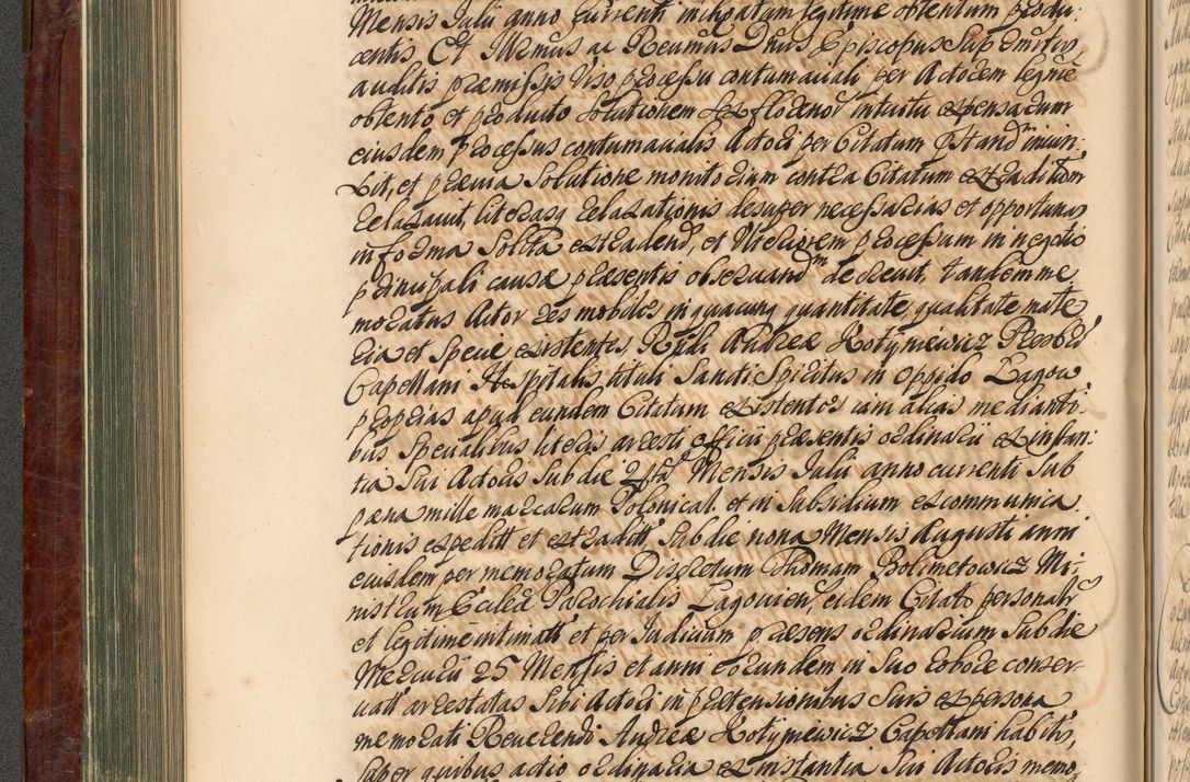Zdjęcie nr 253 dla obiektu archiwalnego: Acta actorum episcopalium R. D. Joannis a Małachowice Małachowski, episcopi Cracoviensis a die 16 Julii anni 1688 et 1689 acticatorum. Volumen IV