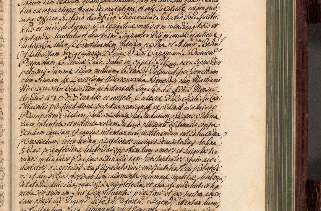 Zdjęcie nr 250 dla obiektu archiwalnego: Acta actorum episcopalium R. D. Joannis a Małachowice Małachowski, episcopi Cracoviensis a die 16 Julii anni 1688 et 1689 acticatorum. Volumen IV