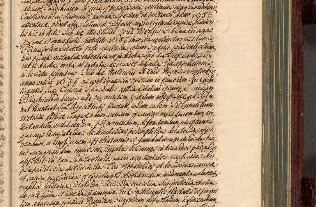 Zdjęcie nr 248 dla obiektu archiwalnego: Acta actorum episcopalium R. D. Joannis a Małachowice Małachowski, episcopi Cracoviensis a die 16 Julii anni 1688 et 1689 acticatorum. Volumen IV