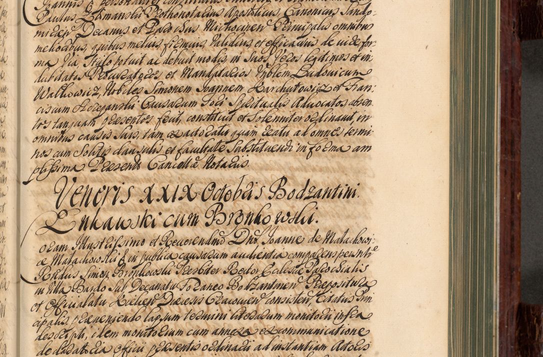 Zdjęcie nr 252 dla obiektu archiwalnego: Acta actorum episcopalium R. D. Joannis a Małachowice Małachowski, episcopi Cracoviensis a die 16 Julii anni 1688 et 1689 acticatorum. Volumen IV