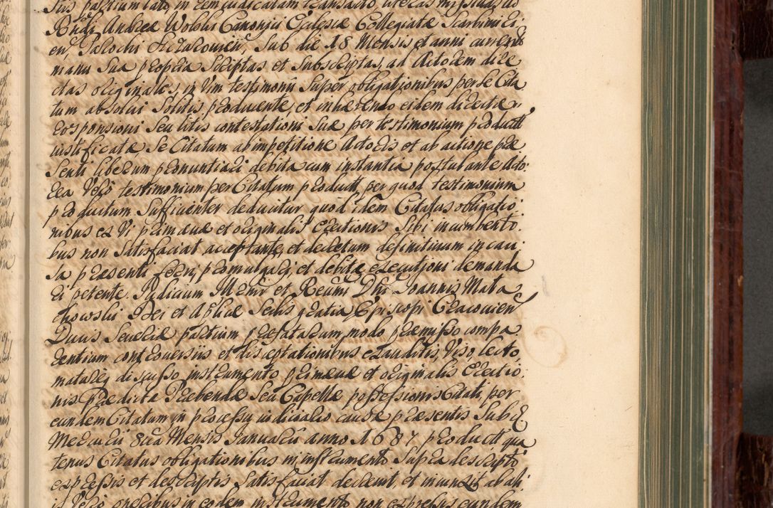 Zdjęcie nr 238 dla obiektu archiwalnego: Acta actorum episcopalium R. D. Joannis a Małachowice Małachowski, episcopi Cracoviensis a die 16 Julii anni 1688 et 1689 acticatorum. Volumen IV