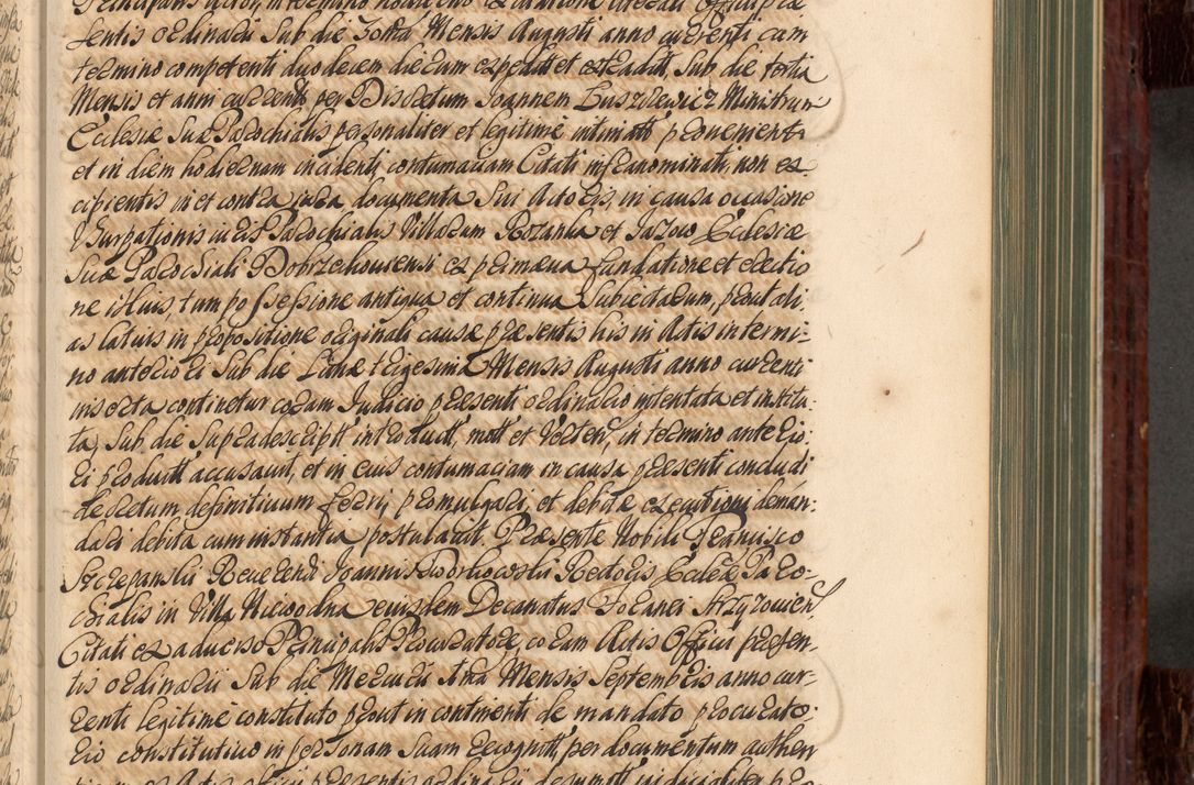 Zdjęcie nr 232 dla obiektu archiwalnego: Acta actorum episcopalium R. D. Joannis a Małachowice Małachowski, episcopi Cracoviensis a die 16 Julii anni 1688 et 1689 acticatorum. Volumen IV