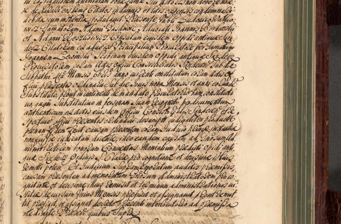Zdjęcie nr 222 dla obiektu archiwalnego: Acta actorum episcopalium R. D. Joannis a Małachowice Małachowski, episcopi Cracoviensis a die 16 Julii anni 1688 et 1689 acticatorum. Volumen IV
