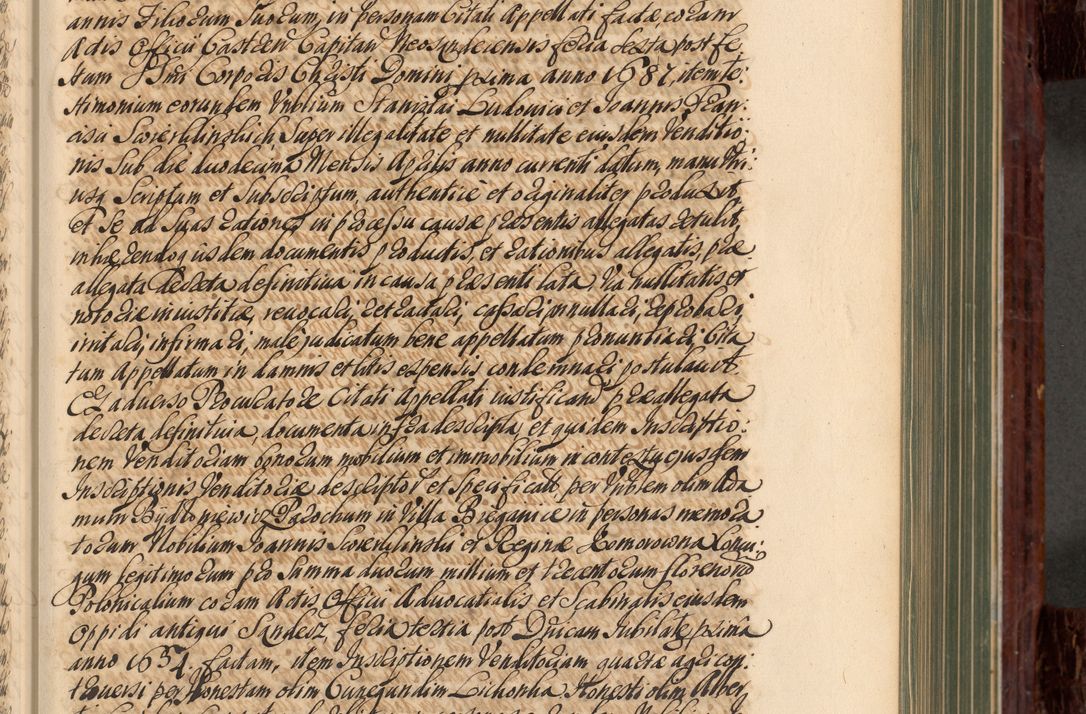 Zdjęcie nr 218 dla obiektu archiwalnego: Acta actorum episcopalium R. D. Joannis a Małachowice Małachowski, episcopi Cracoviensis a die 16 Julii anni 1688 et 1689 acticatorum. Volumen IV