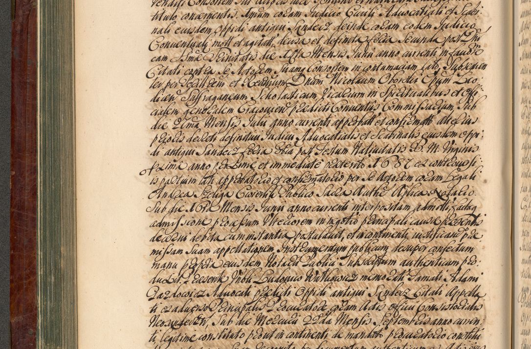 Zdjęcie nr 217 dla obiektu archiwalnego: Acta actorum episcopalium R. D. Joannis a Małachowice Małachowski, episcopi Cracoviensis a die 16 Julii anni 1688 et 1689 acticatorum. Volumen IV
