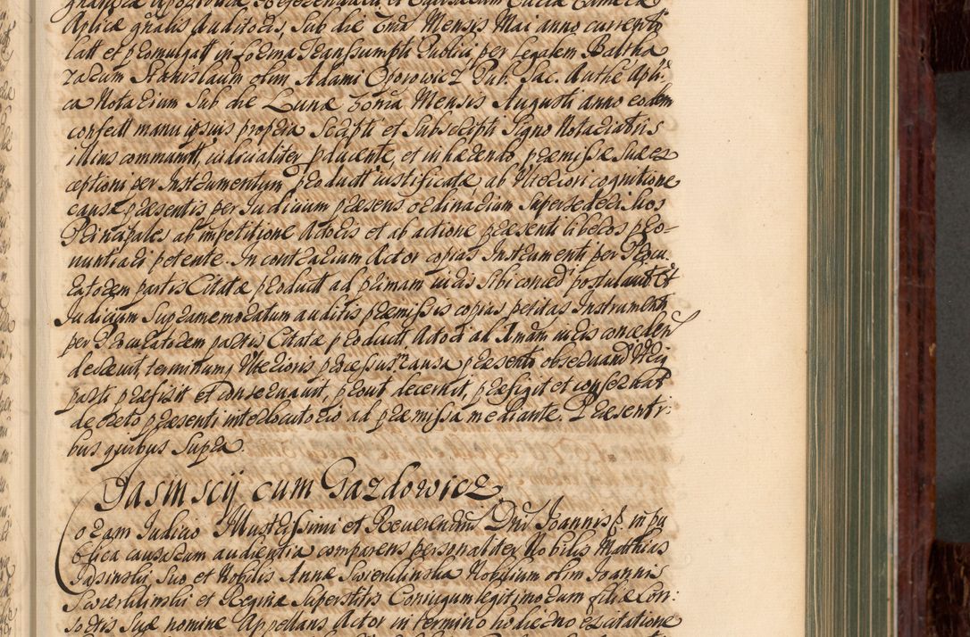 Zdjęcie nr 216 dla obiektu archiwalnego: Acta actorum episcopalium R. D. Joannis a Małachowice Małachowski, episcopi Cracoviensis a die 16 Julii anni 1688 et 1689 acticatorum. Volumen IV