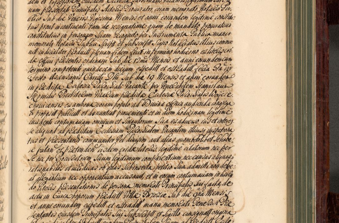 Zdjęcie nr 604 dla obiektu archiwalnego: Acta actorum episcopalium R. D. Joannis a Małachowice Małachowski, episcopi Cracoviensis a die 16 Julii anni 1688 et 1689 acticatorum. Volumen IV