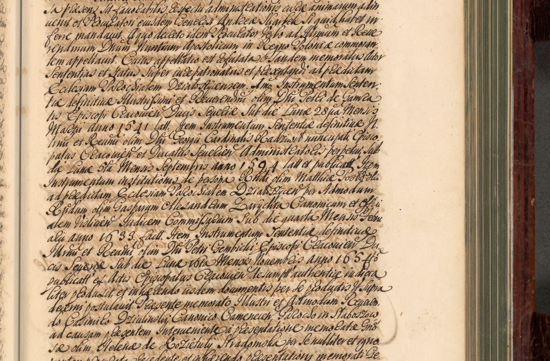 Zdjęcie nr 602 dla obiektu archiwalnego: Acta actorum episcopalium R. D. Joannis a Małachowice Małachowski, episcopi Cracoviensis a die 16 Julii anni 1688 et 1689 acticatorum. Volumen IV