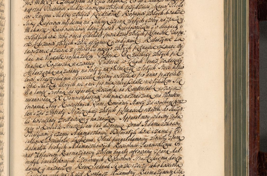 Zdjęcie nr 576 dla obiektu archiwalnego: Acta actorum episcopalium R. D. Joannis a Małachowice Małachowski, episcopi Cracoviensis a die 16 Julii anni 1688 et 1689 acticatorum. Volumen IV
