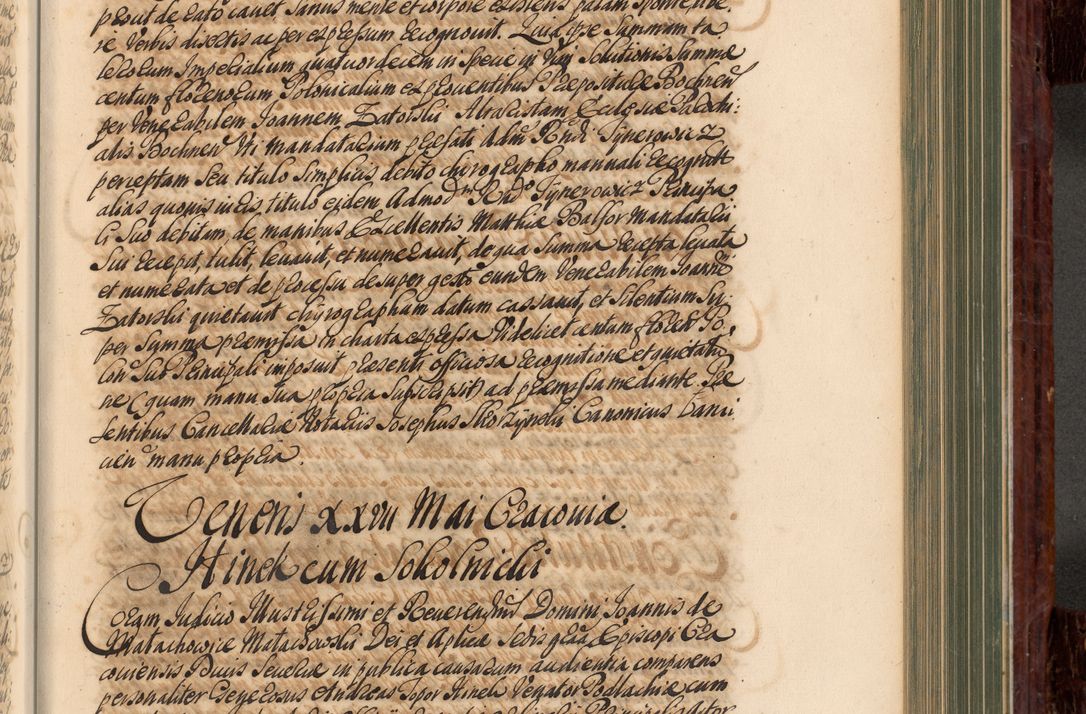 Zdjęcie nr 536 dla obiektu archiwalnego: Acta actorum episcopalium R. D. Joannis a Małachowice Małachowski, episcopi Cracoviensis a die 16 Julii anni 1688 et 1689 acticatorum. Volumen IV