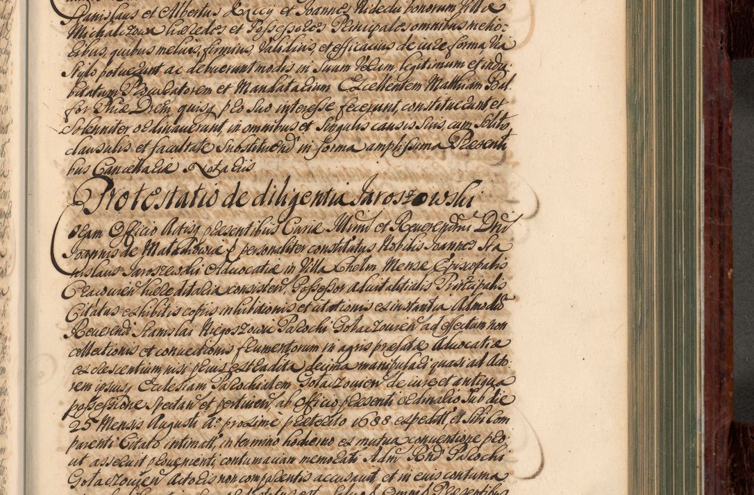 Zdjęcie nr 532 dla obiektu archiwalnego: Acta actorum episcopalium R. D. Joannis a Małachowice Małachowski, episcopi Cracoviensis a die 16 Julii anni 1688 et 1689 acticatorum. Volumen IV
