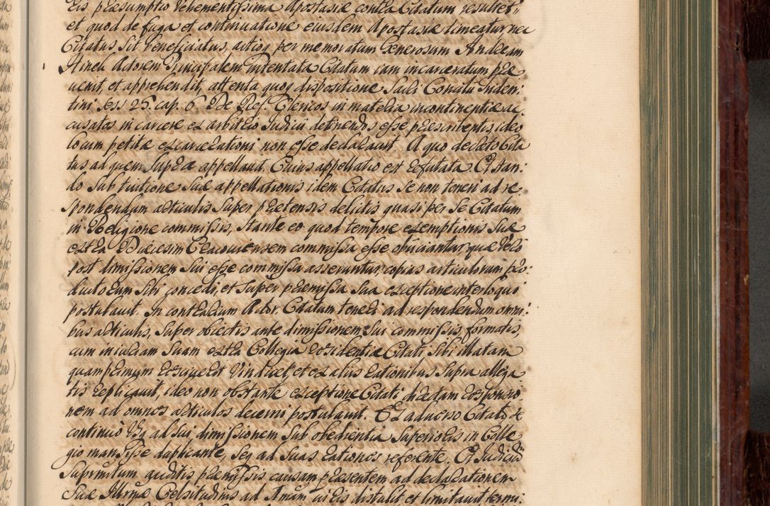 Zdjęcie nr 528 dla obiektu archiwalnego: Acta actorum episcopalium R. D. Joannis a Małachowice Małachowski, episcopi Cracoviensis a die 16 Julii anni 1688 et 1689 acticatorum. Volumen IV