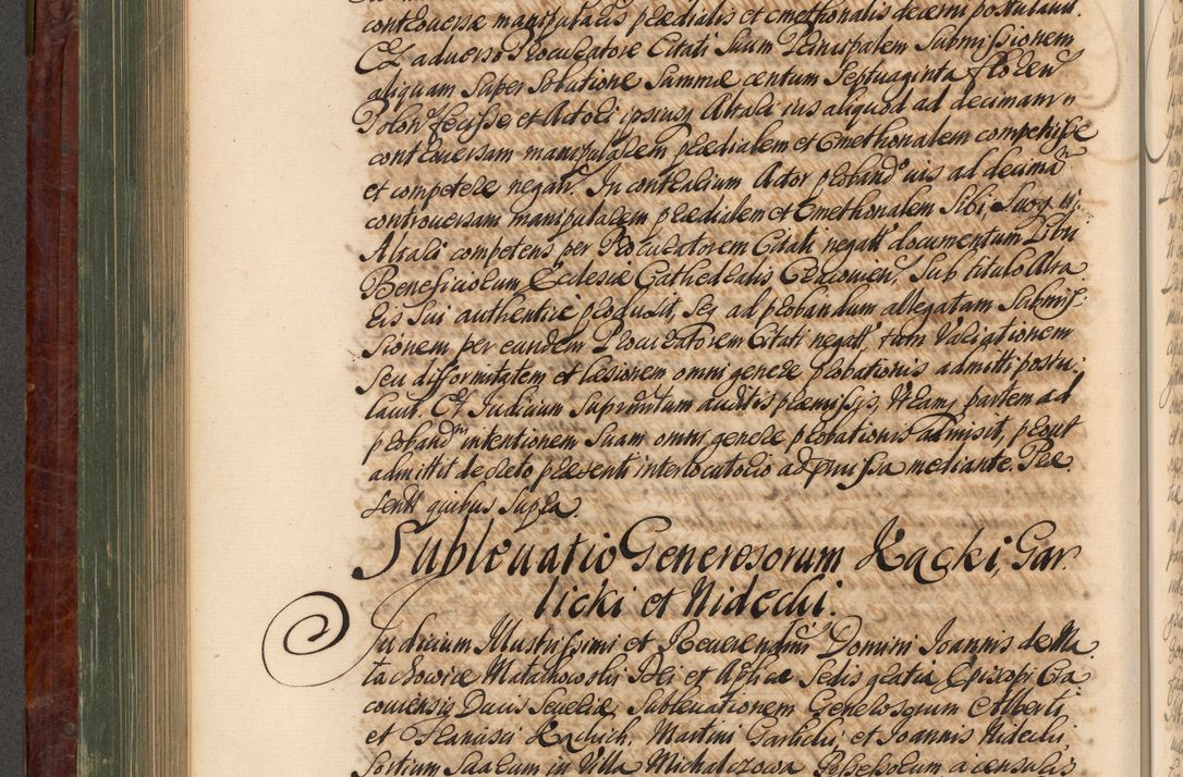 Zdjęcie nr 519 dla obiektu archiwalnego: Acta actorum episcopalium R. D. Joannis a Małachowice Małachowski, episcopi Cracoviensis a die 16 Julii anni 1688 et 1689 acticatorum. Volumen IV