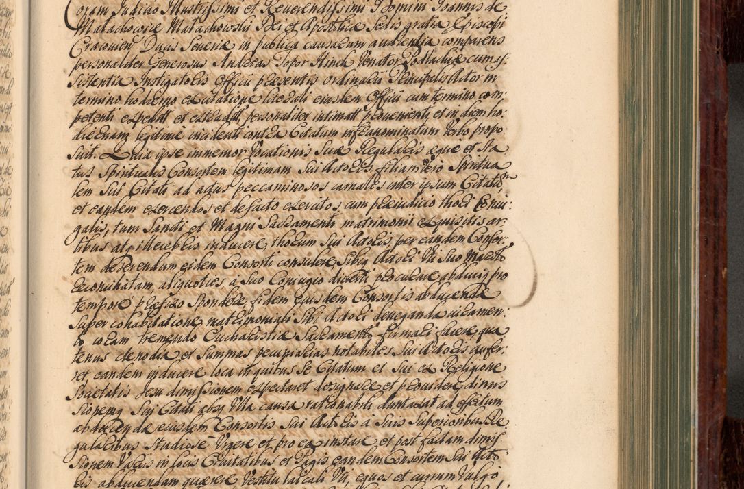 Zdjęcie nr 486 dla obiektu archiwalnego: Acta actorum episcopalium R. D. Joannis a Małachowice Małachowski, episcopi Cracoviensis a die 16 Julii anni 1688 et 1689 acticatorum. Volumen IV